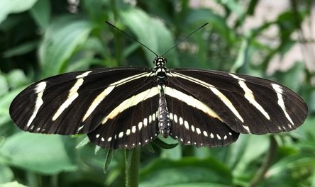 Our debut novel:&nbsp;Separate