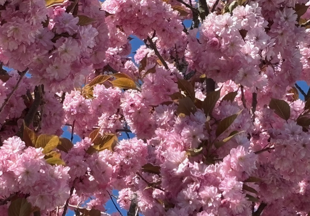 The Best Romance&nbsp;Movie