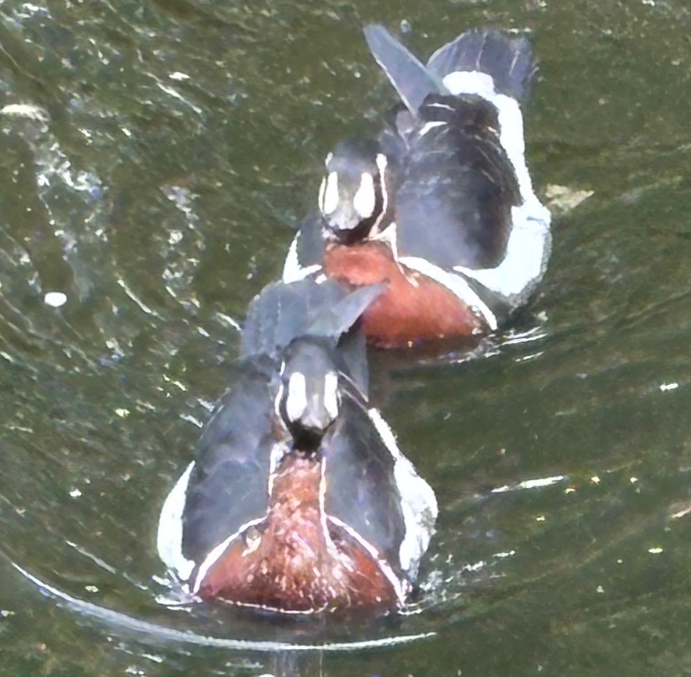 Caregivers Need Breaks